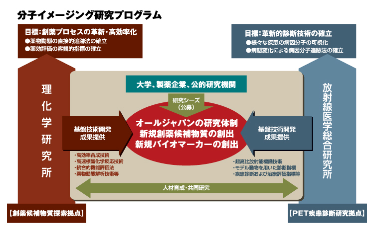 分子イメージング研究プログラム