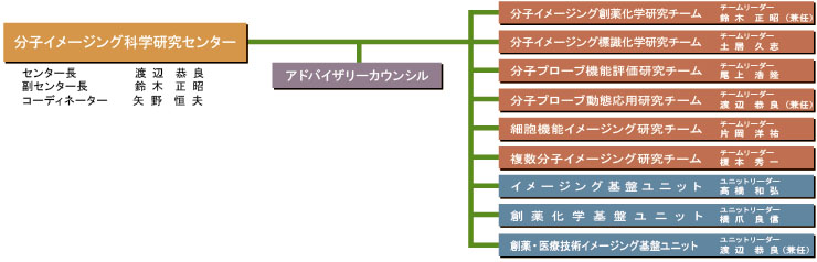 組織図