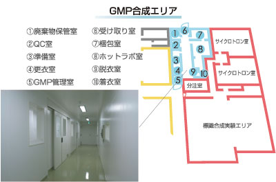 GMP合成エリア