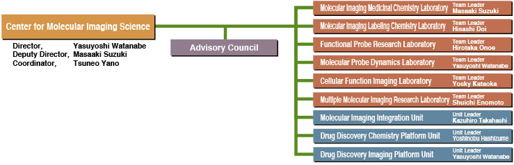 Doi Org Chart