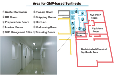 GMP合成エリア
