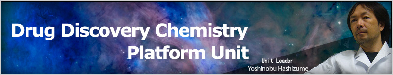 [Drug Discovery Chemistry Platform Unit]　Unit Leader, Yoshinobu Hashizume